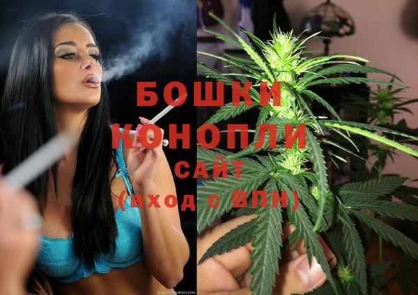крисы Бежецк