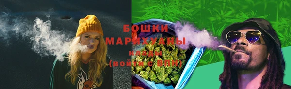 крисы Бежецк