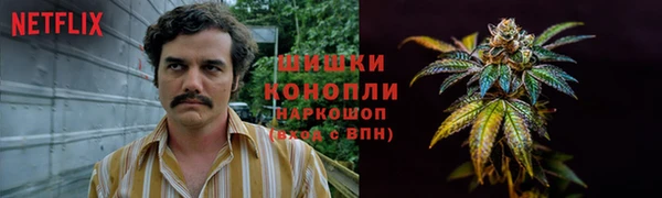 прущая мука Вязники