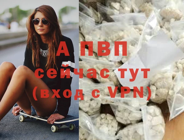 крисы Бежецк