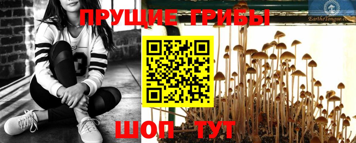 Галлюциногенные грибы MAGIC MUSHROOMS Донской