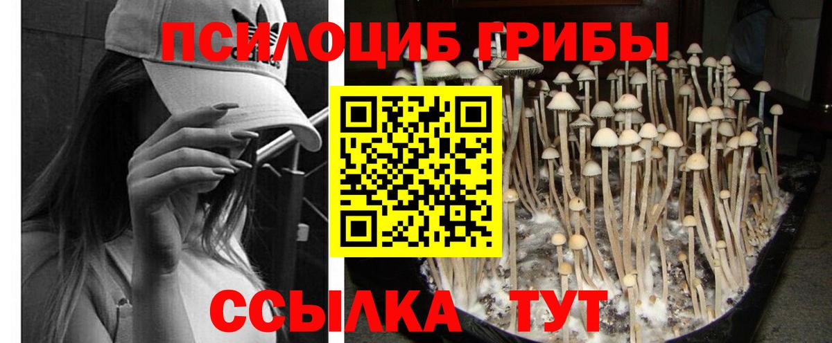 Донской  Галлюциногенные грибы мухоморы  Вход с VPN 