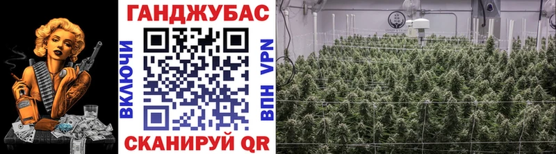 Каннабис план Донской